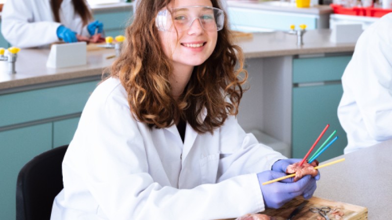 Karjeros stovykla Londono centre (14-17)