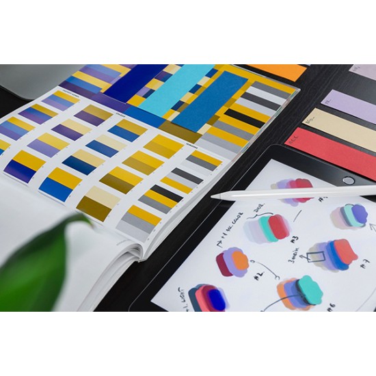 Stovykla Kembridže, portfolio (15-18)