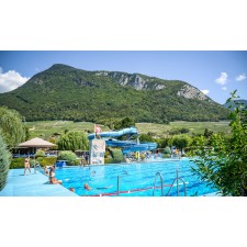 Kalbų stovykla Šveicarijoje (9-17)