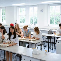 Stovykla Anglijoje, Bristolyje (8-17)