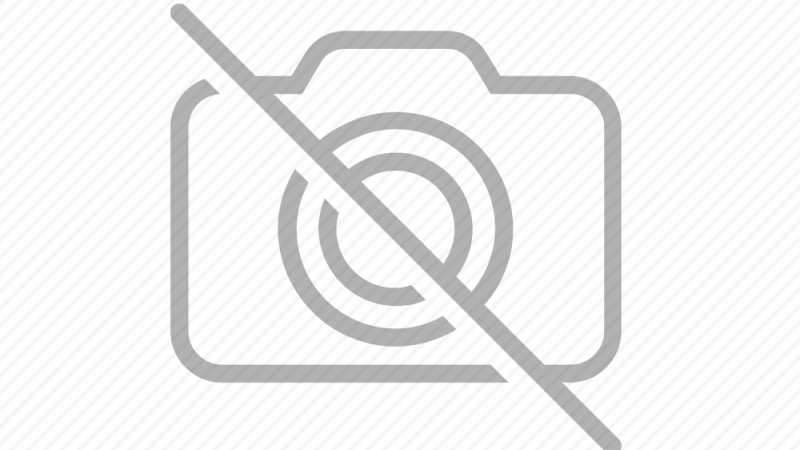 Ateities švietimo valiuta